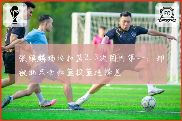 张镇麟场均扣篮2.3次国内第一，却被批只会扣篮投篮选择差
