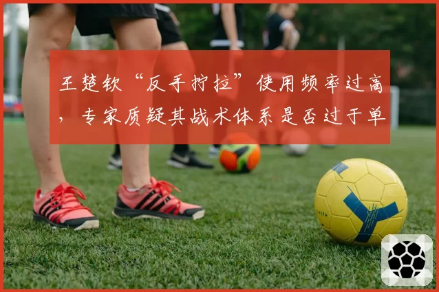 王楚钦“反手拧拉”使用频率过高，专家质疑其战术体系是否过于单一？