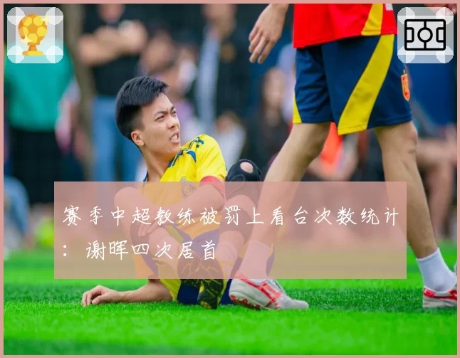 赛季中超教练被罚上看台次数统计:谢晖四次居首