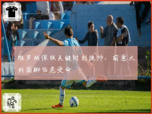 维罗纳保级关键时刻换帅,前意大利国脚临危受命