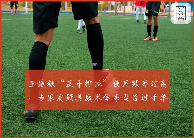 王楚钦“反手拧拉”使用频率过高，专家质疑其战术体系是否过于单一？