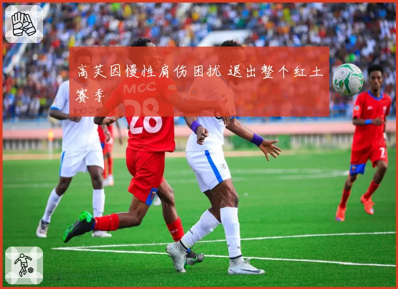高芙因慢性肩伤困扰 退出整个红土赛季