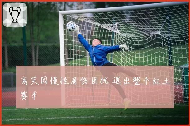高芙因慢性肩伤困扰 退出整个红土赛季