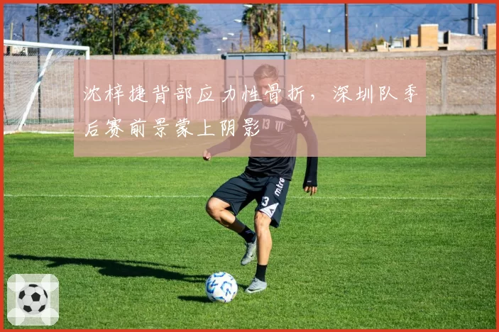 沈梓捷背部应力性骨折,深圳队季后赛前景蒙上阴影