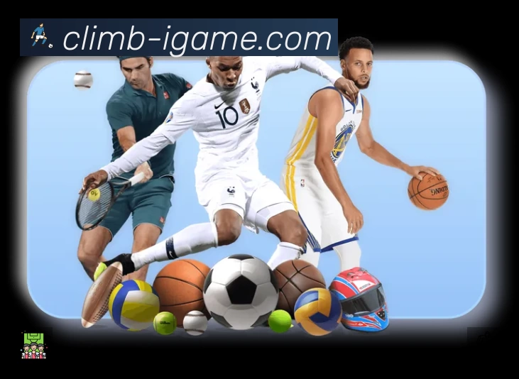 赛事回放与集锦